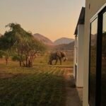 IMG 5215 2 Scaled E1764882981399 150x150