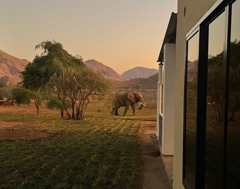 Home IMG 5215 2 Scaled E1764882981399 768x603