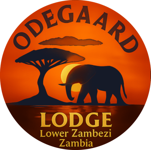 ol logo color nov25 2