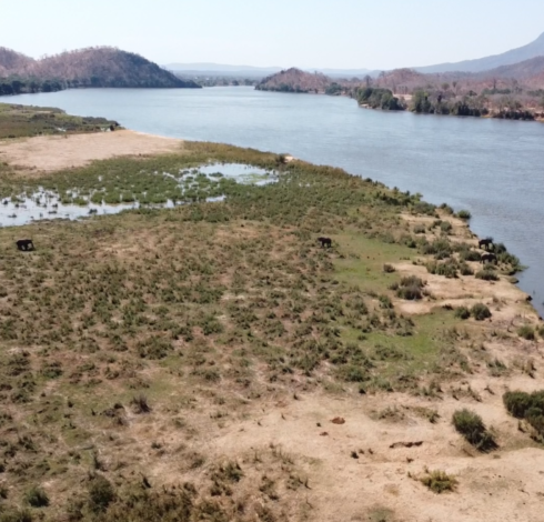 elephants dji jul25