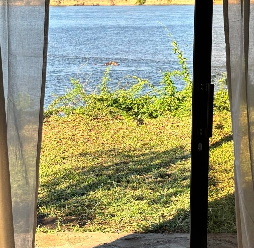 chalet hippo