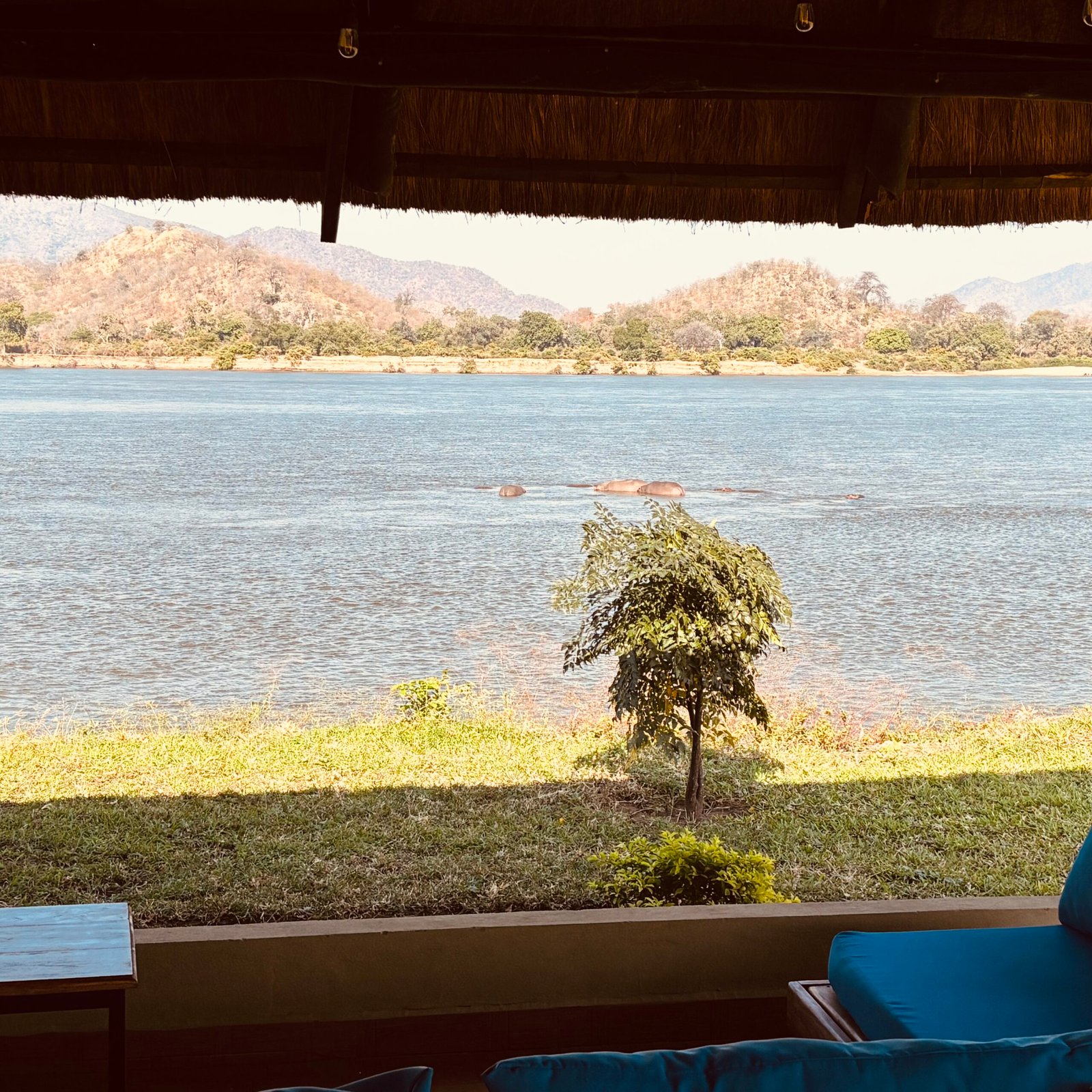 restaurant hippoview