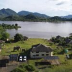 OL Elephants E1785529418674 150x150