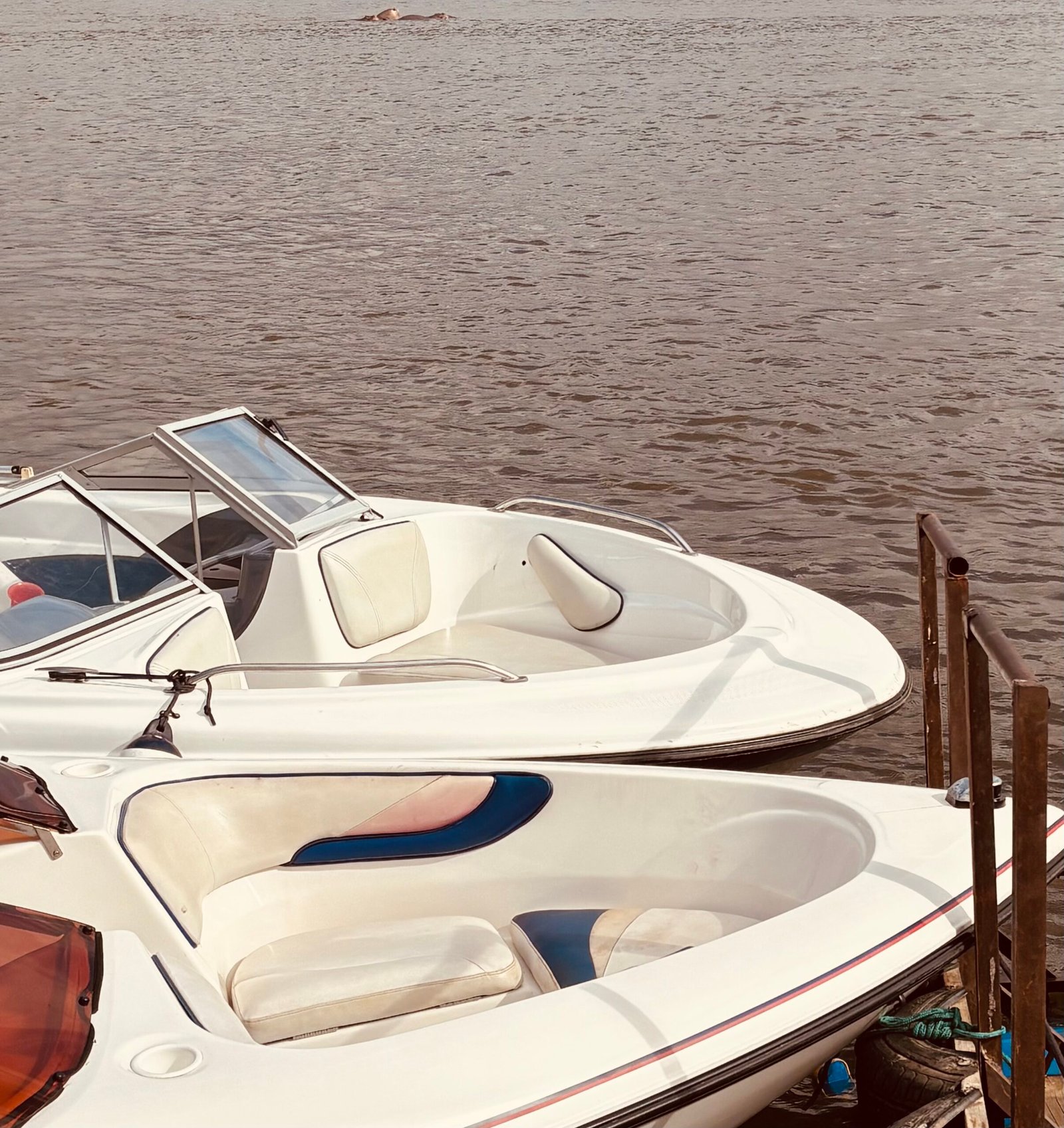 boats